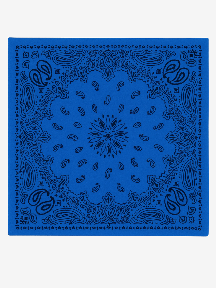Foulard OLKO bleu