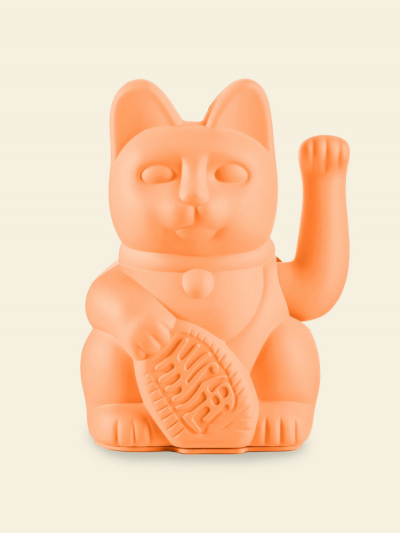 Chat chanceux pêche