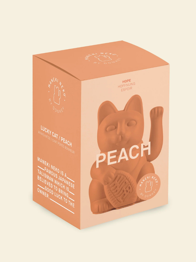 Chat chanceux pêche