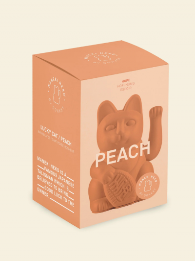Chat chanceux pêche