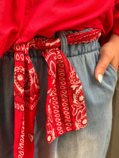 Pantalon WOODLAWN bleu